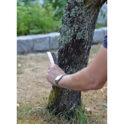 Limring 3 m, bilde 3