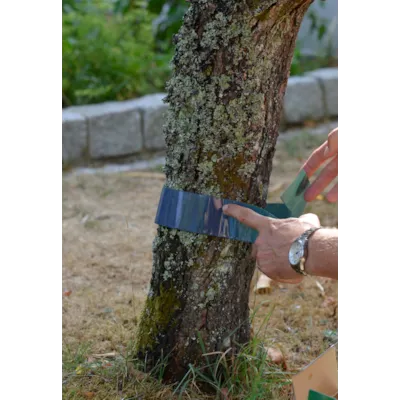 Limring 3 m, bilde 4