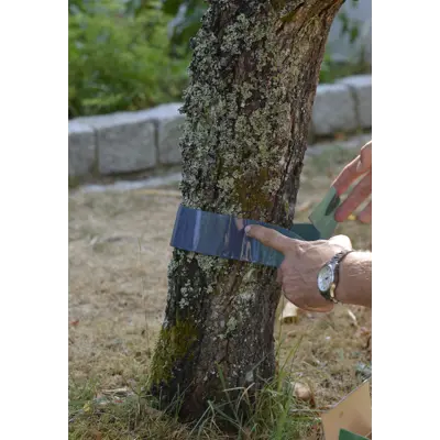 Limring 3 m, bilde 4