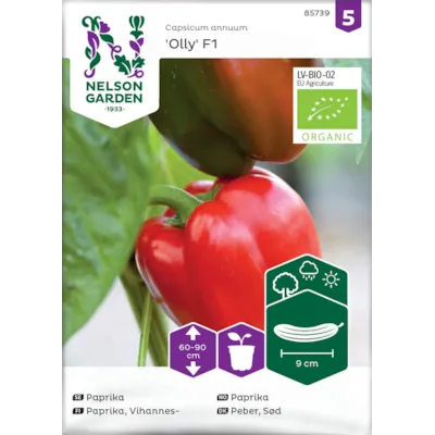 Frø paprika Olly økologisk