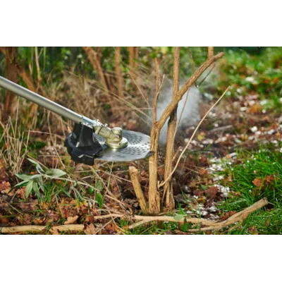 Sagblad RAC167 250 mm, bilde 2