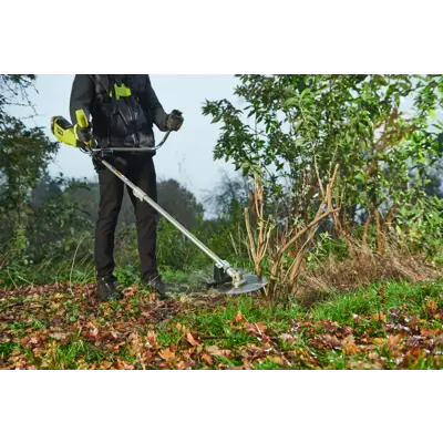 Sagblad RAC167 250 mm, bilde 3