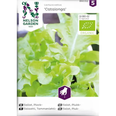 Frø plukksalat Catalonga økologisk