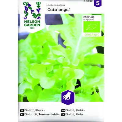 Frø plukksalat Catalonga økologisk