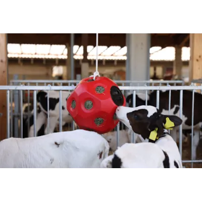 Leke og fôringsball rosa, bilde 2