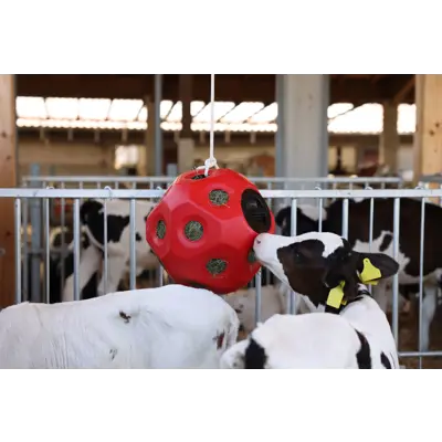 Leke og fôringsball rosa, bilde 2