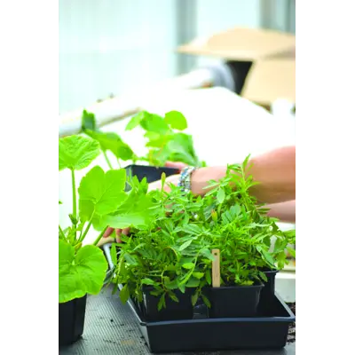 Spirekasse Solid svart 26x68 cm, bilde 2