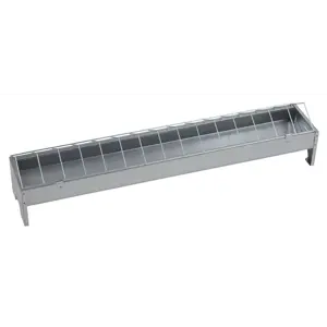 Fôrtro høns og kylling