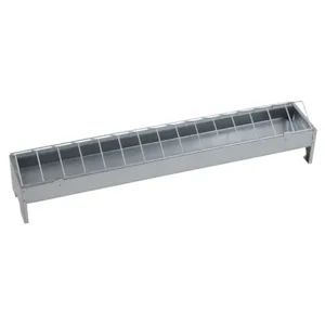 Fôrtro høns og kylling