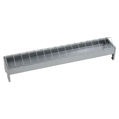 Fôrtro høns og kylling