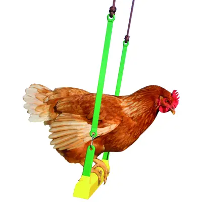 Huske til høns 41 cm, bilde 3