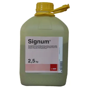 Signum 2,5 kg