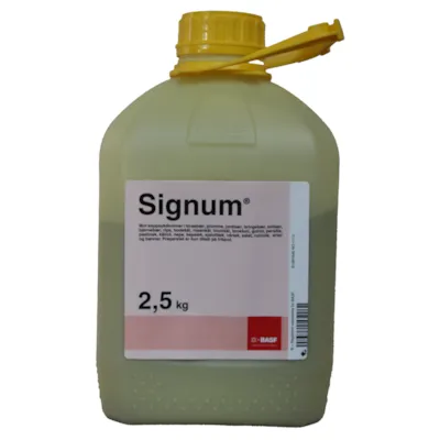 Signum 2,5 kg
