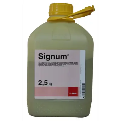 Signum 2,5 kg