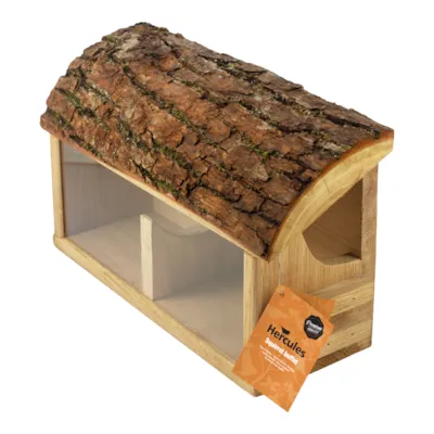 Matstasjon for ekorn