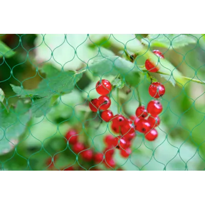 Fuglenett/bærnot 4x5 m, bilde 3