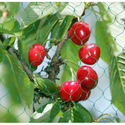 Fuglenett/bærnot 4x5 m, bilde 4