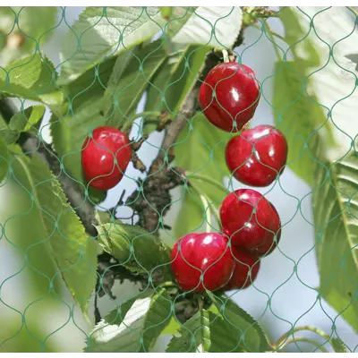 Fuglenett/bærnot 4x5 m, bilde 4