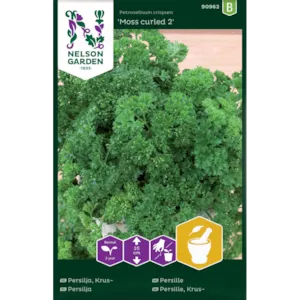 Frø persille Moss Curled 2