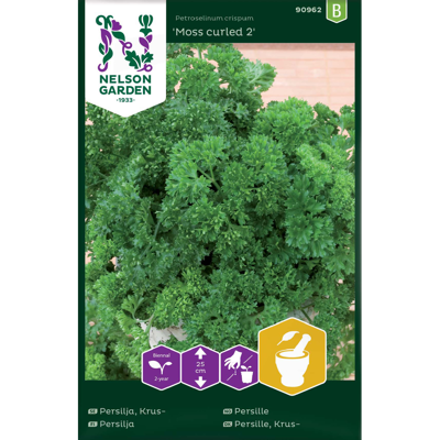 Frø persille Moss Curled 2