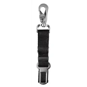 Setebeltefeste til bil