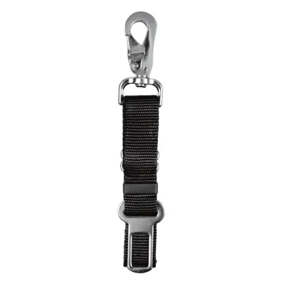 Setebeltefeste til bil