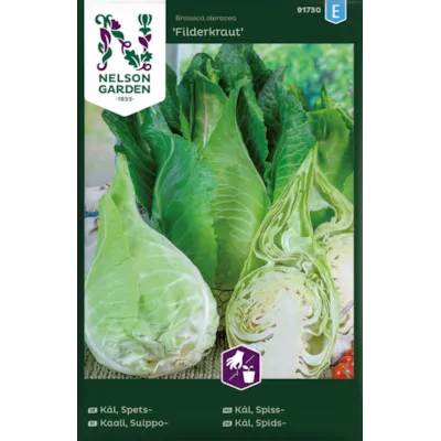 Frø spisskål Filderkraut