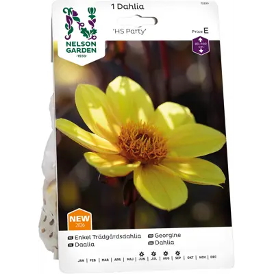 Vårløk georgine HS Party