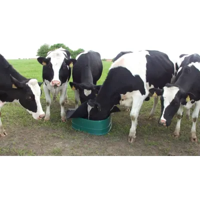 BasisFeeder Mineralfôr automat, bilde 5