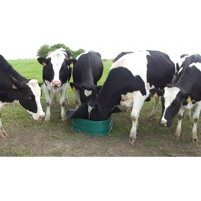 BasisFeeder Mineralfôr automat, bilde 2