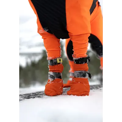 Potesokker Contact Bootie High orange 4 pk, bilde 2