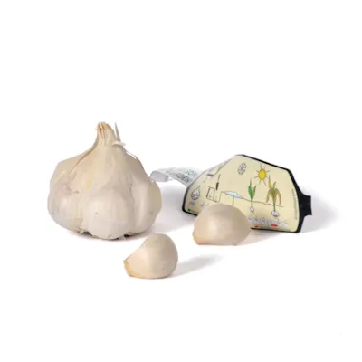 Setteløk hvitløk Thermidrome 1 stk