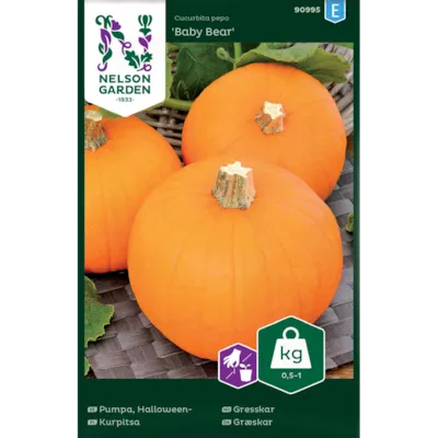 Frø gresskar Baby Bear