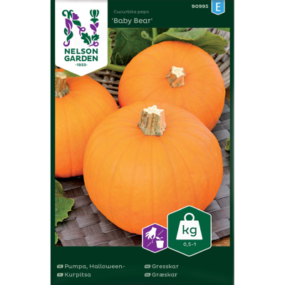 Frø gresskar Baby Bear