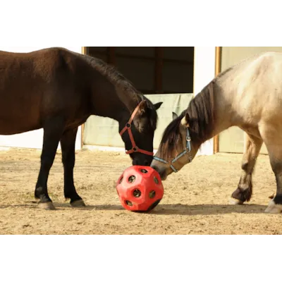 Leke og fôringsball rød, bilde 3