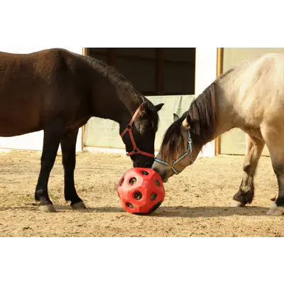 Leke og fôringsball rød, bilde 3
