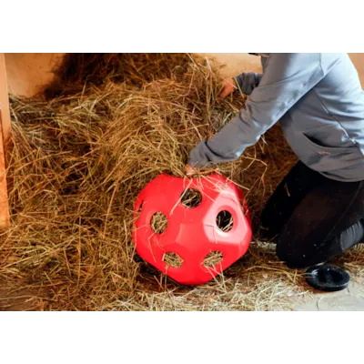 Leke og fôringsball rød, bilde 4