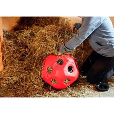 Leke og fôringsball rød, bilde 4