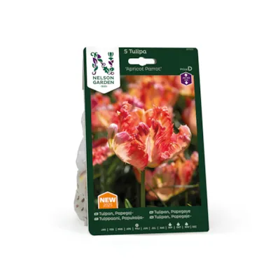 Høstløk tulipan Apricot Parrot