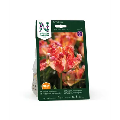 Høstløk tulipan Apricot Parrot