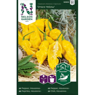 Frø havannapepper Draco Yellow