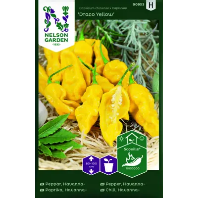 Frø havannapepper Draco Yellow