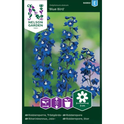 Frø ridderspore Blue Bird, bilde 2