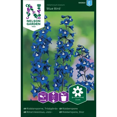 Frø ridderspore Blue Bird, bilde 2