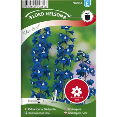 Frø ridderspore Blue Bird