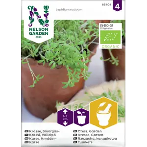 Frø krydderkarse økologisk