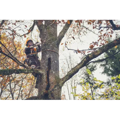 Batteridrevet grensag GTA 40 sett, bilde 6