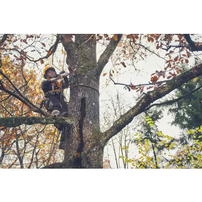 Batteridrevet grensag 24V GTA 40 sett, bilde 6