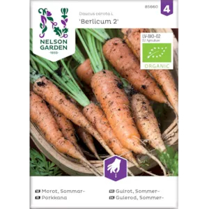 Frø sommergulrot Berlicum 2 økologisk