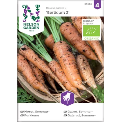 Frø sommergulrot Berlicum 2 økologisk